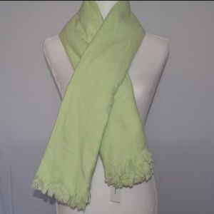 NWT - Banana Republic Women’s Celebratory Style Scarf (Mint Green, One Size)